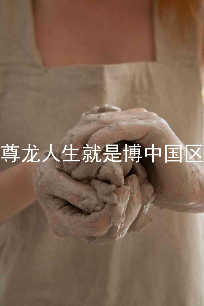 尊龙人生就是博中国区