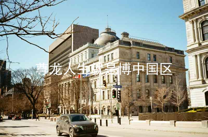 尊龙人生就是博中国区