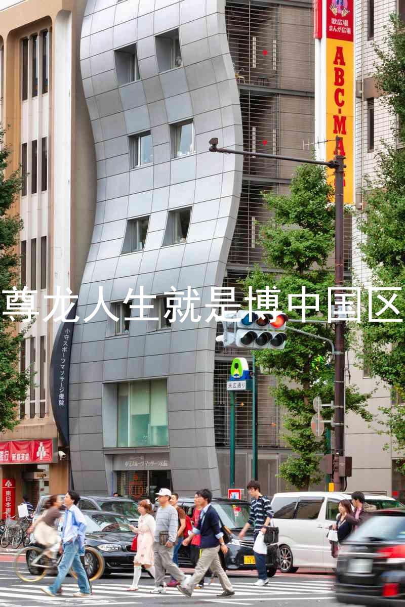 尊龙人生就是博中国区